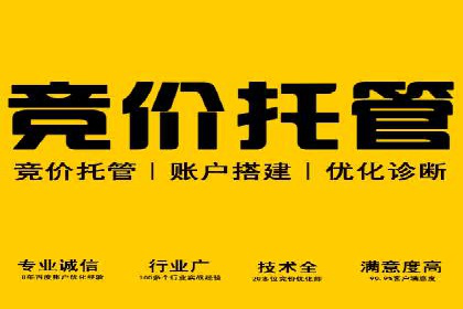 案例解析：竞价代运营如何实现高效广告投放